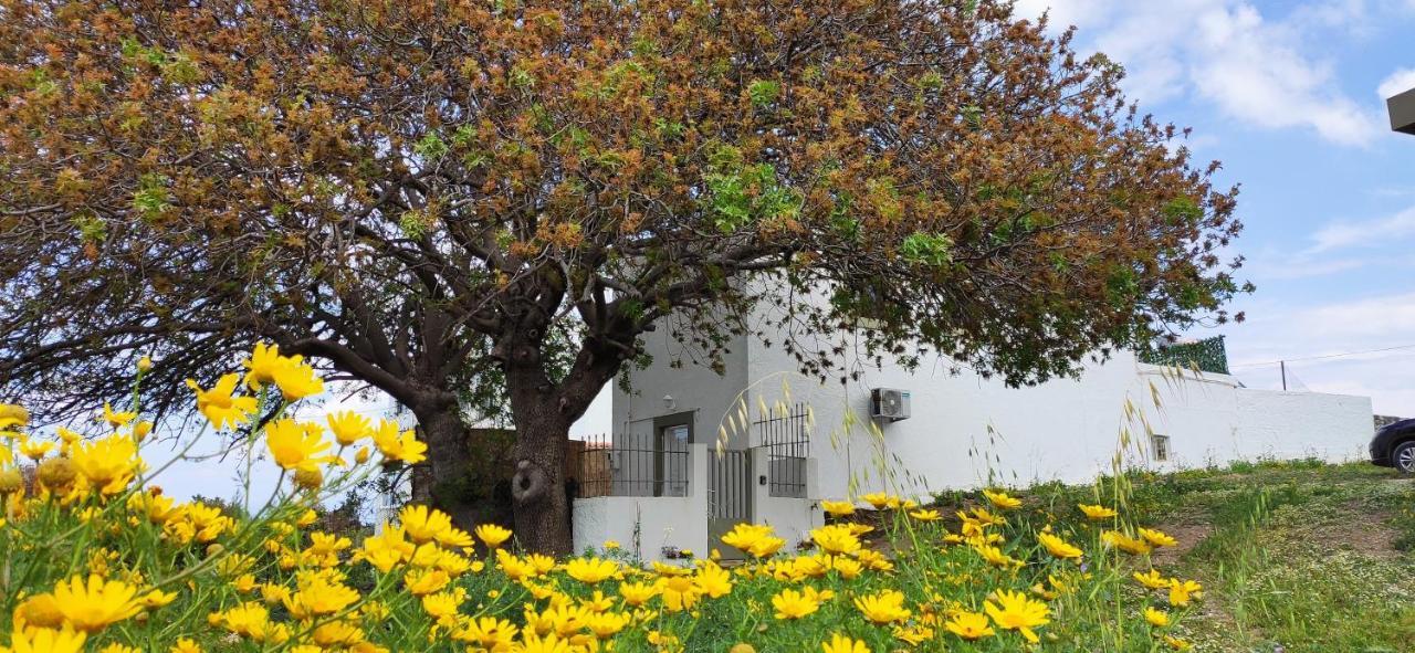 Traditional Suburbs Maisonette Kos Town Luaran gambar
